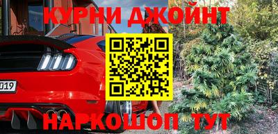 бошки Дубна