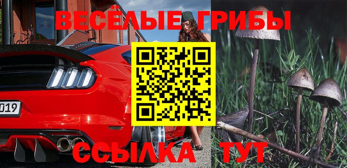 Псилоцибиновые грибы MAGIC MUSHROOMS  Вход с VPN  Кулебаки 