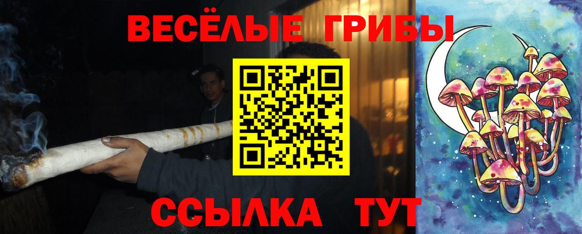 Псилоцибиновые грибы GOLDEN TEACHER Кулебаки